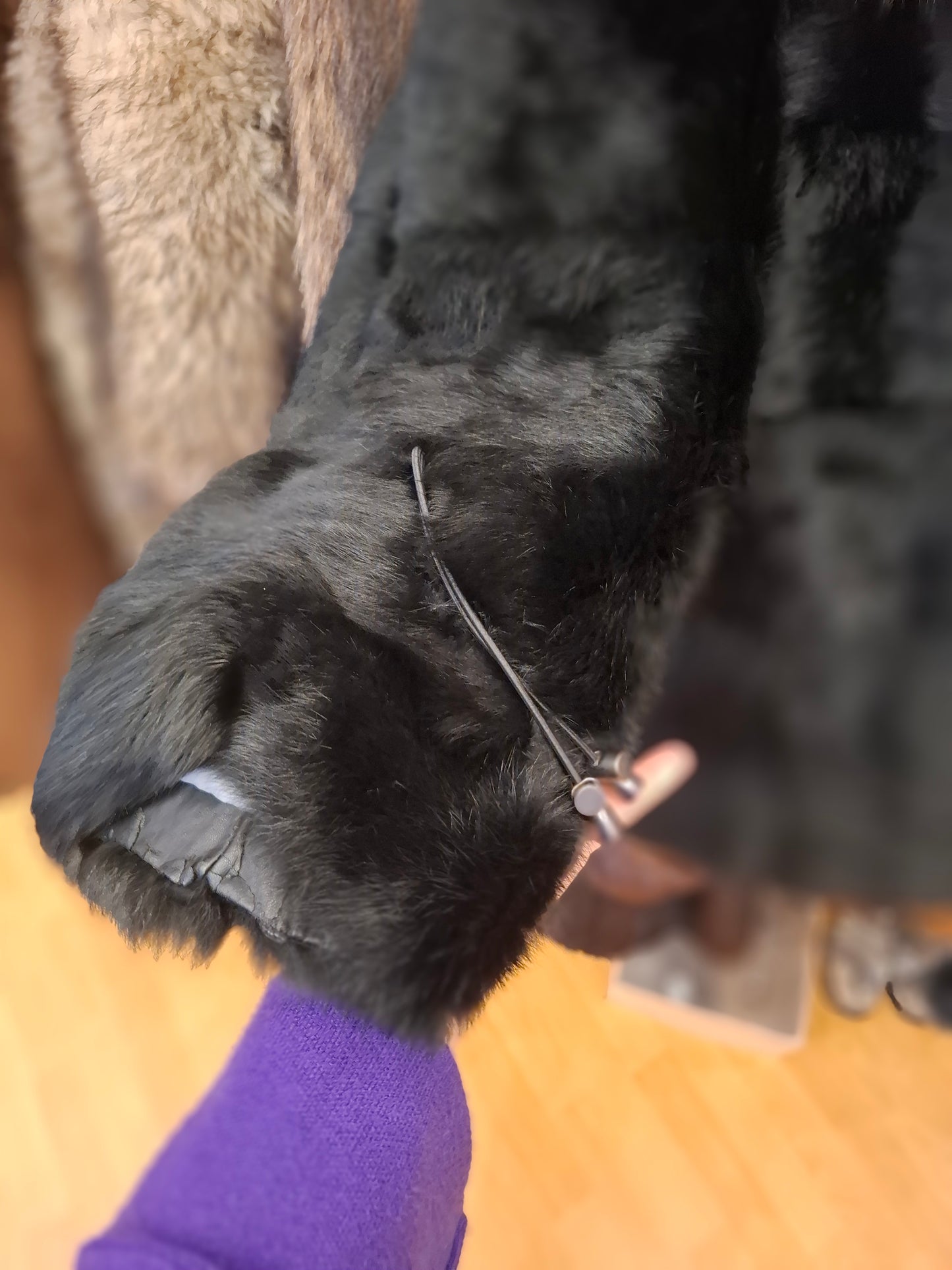 Pelliccia nera Lapin tg S/M