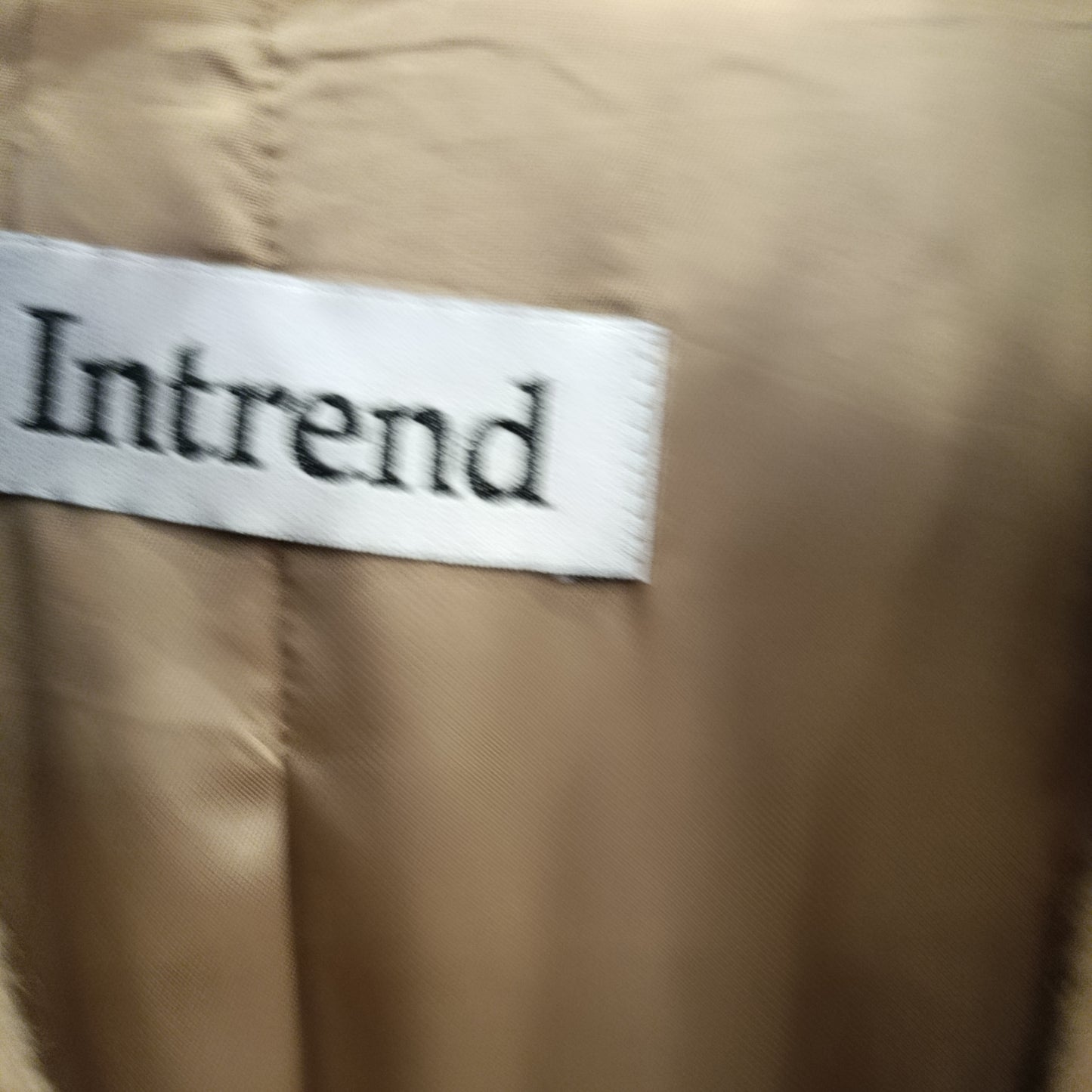 Teddy Intrend tg40