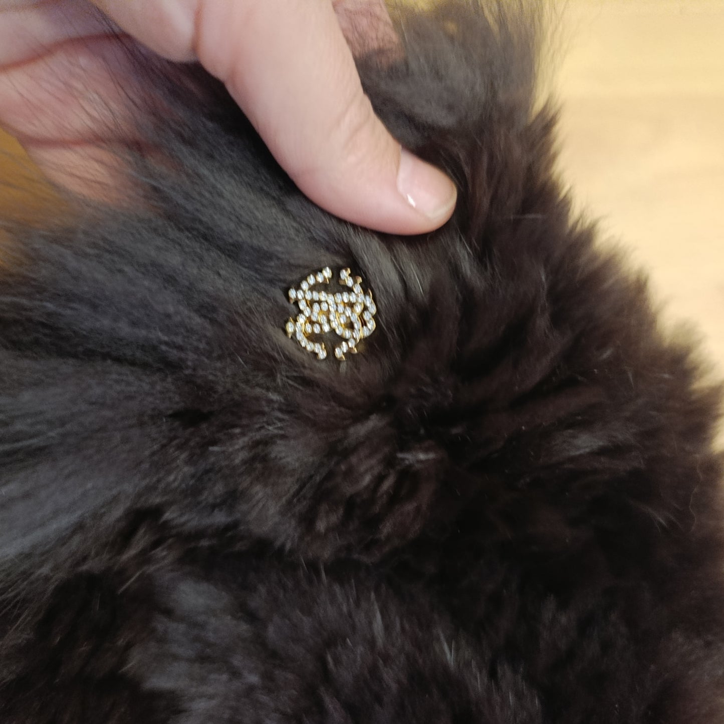 Cappello Cavalli nuovo pelo vero