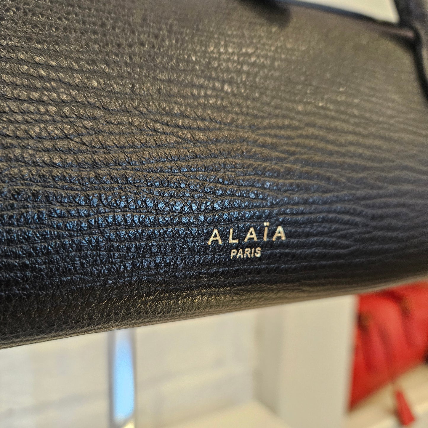 Le Teckel Alaïa