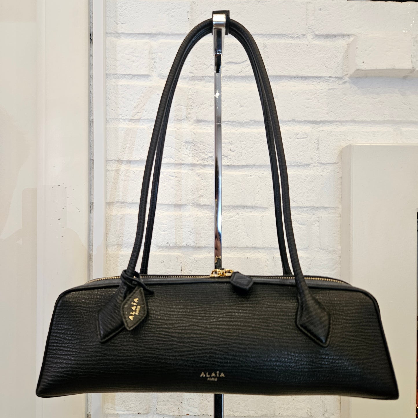 Le Teckel Alaïa