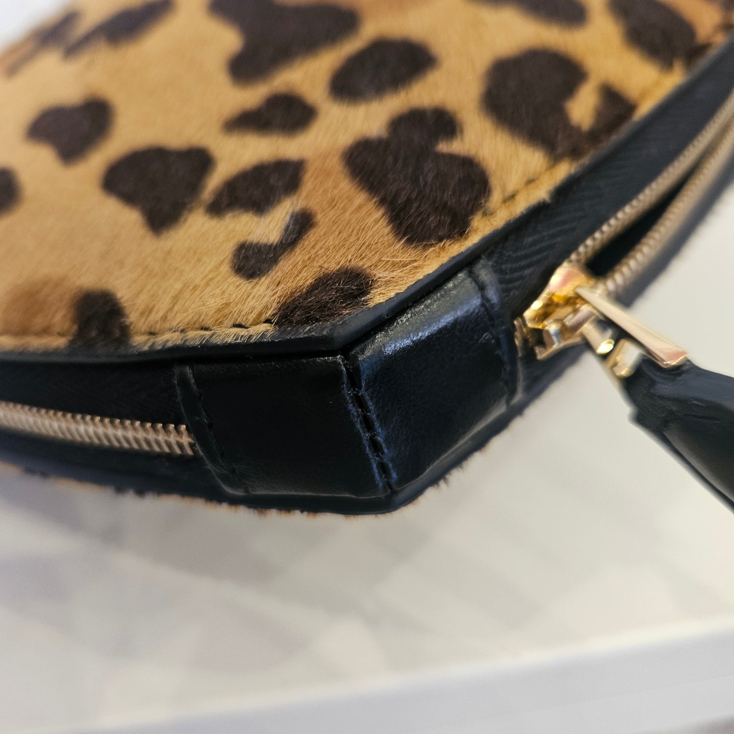 Le Coeur Alaïa in cavallino