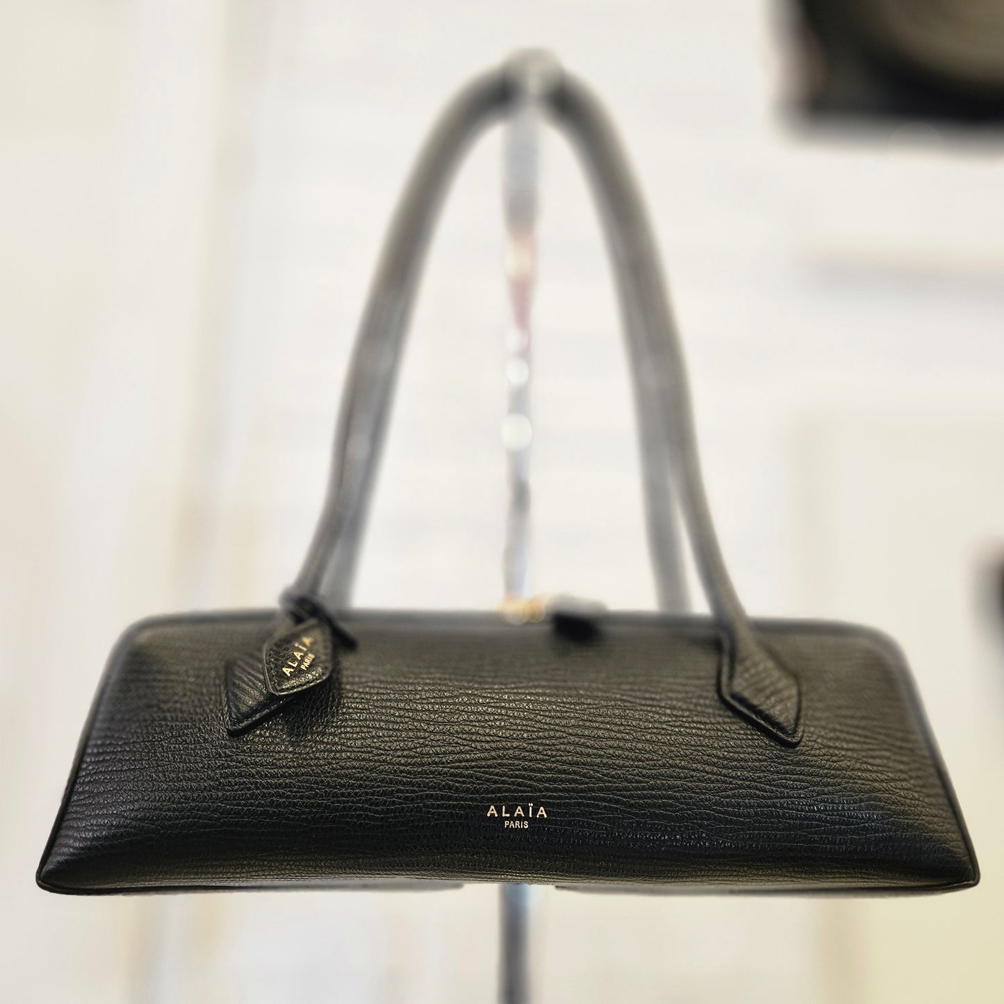 Le Teckel Alaïa