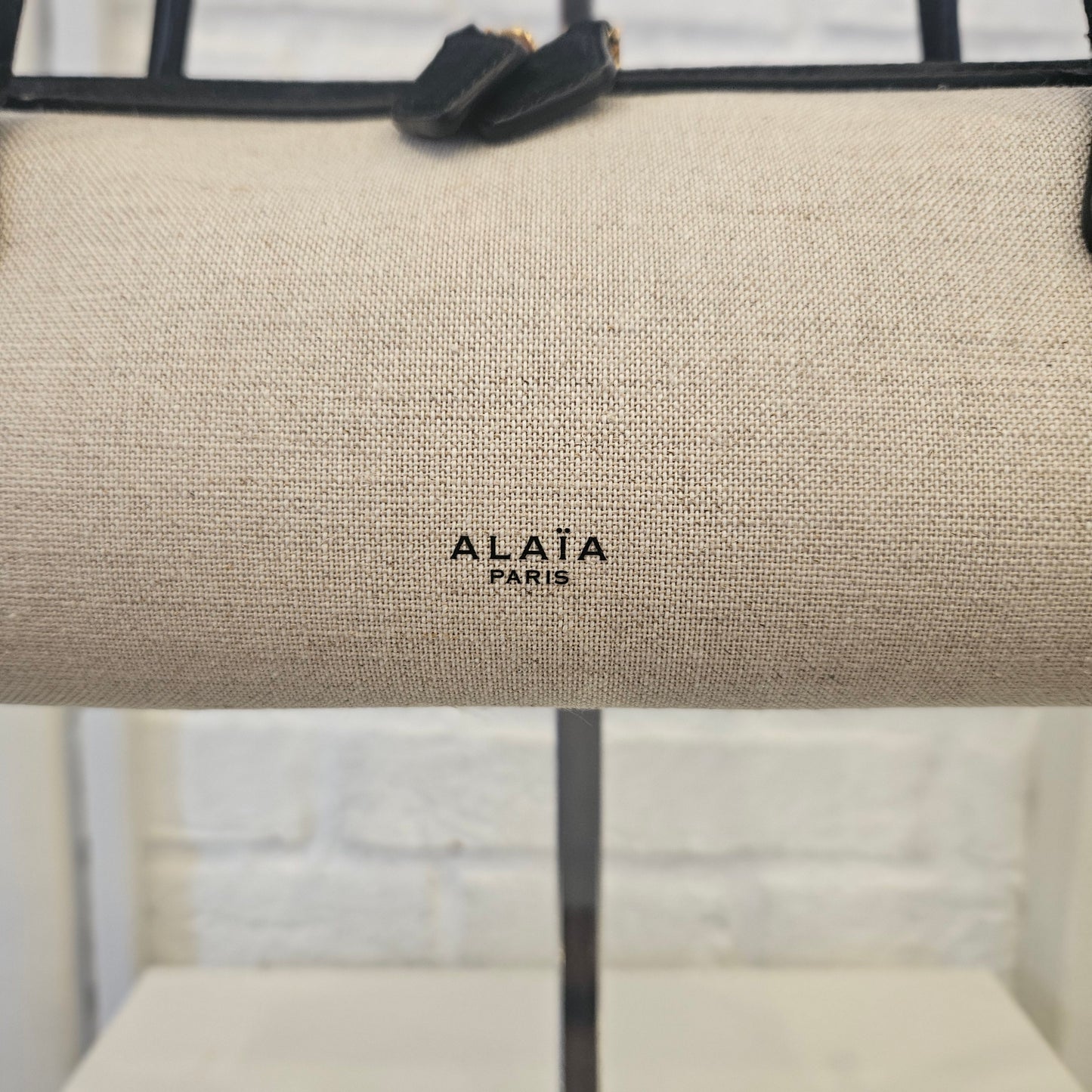 Le Teckel Alaïa