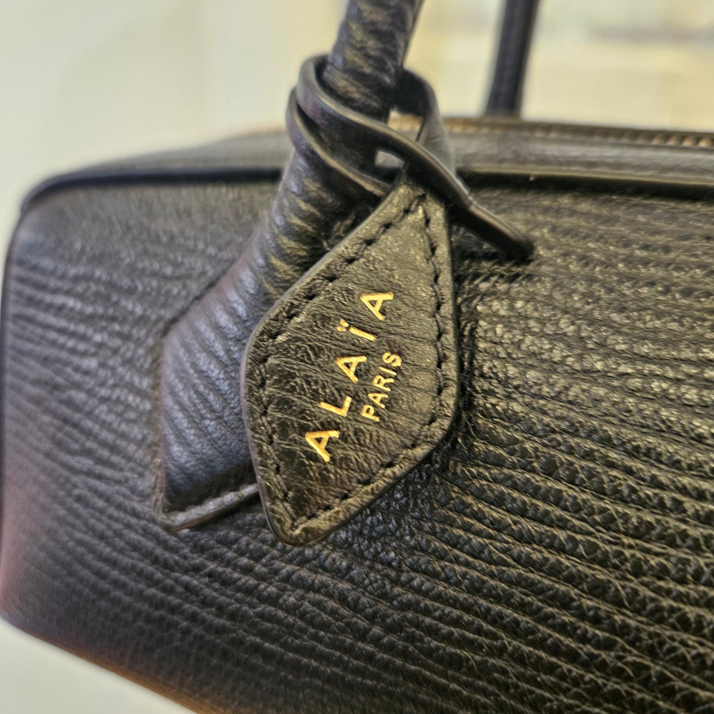 Le Teckel Alaïa