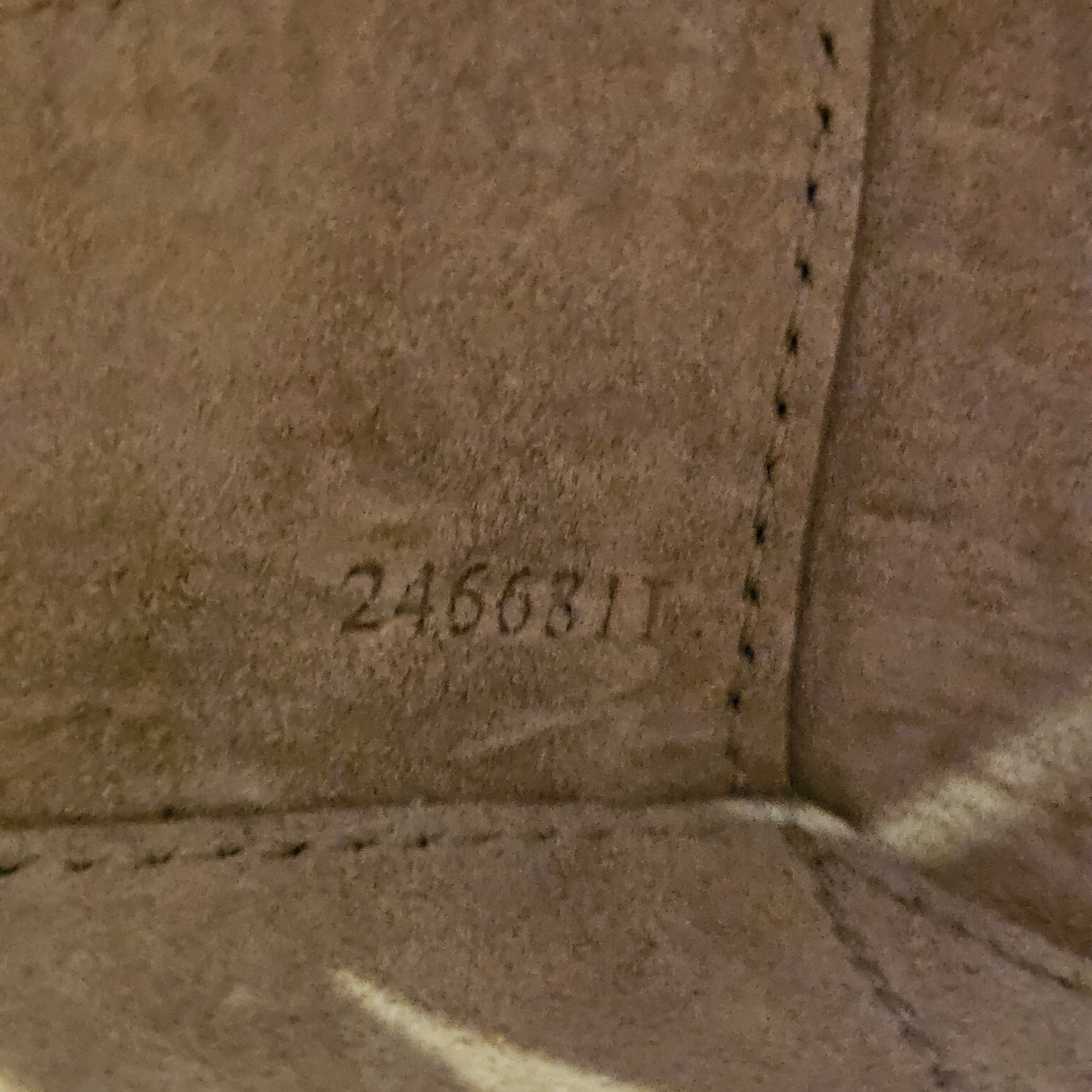 Le Teckel Alaïa