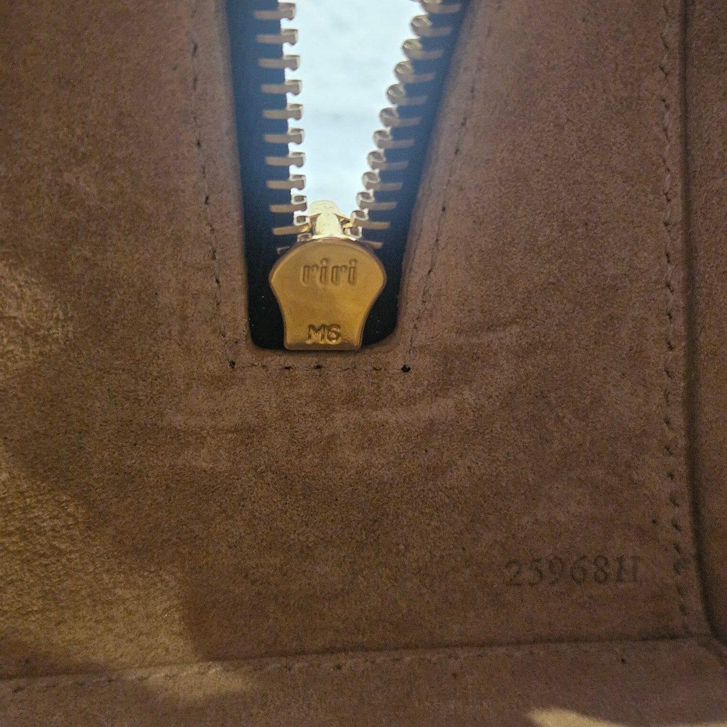 Le Teckel Alaïa