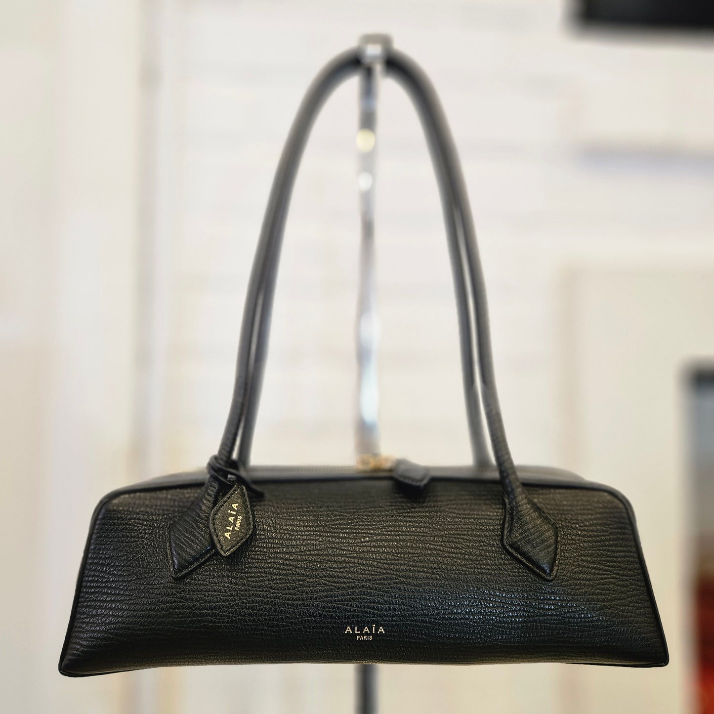Le Teckel Alaïa