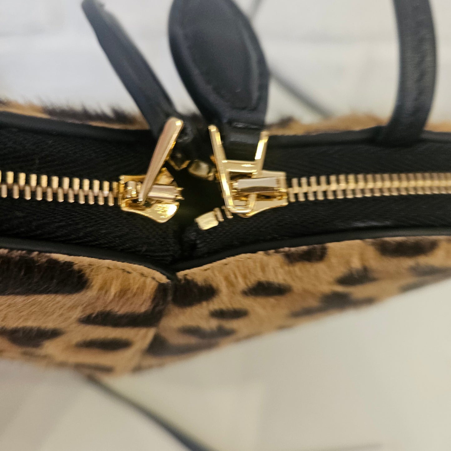 Le Coeur Alaïa in cavallino