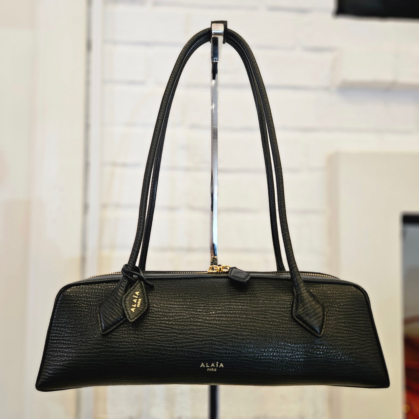 Le Teckel Alaïa