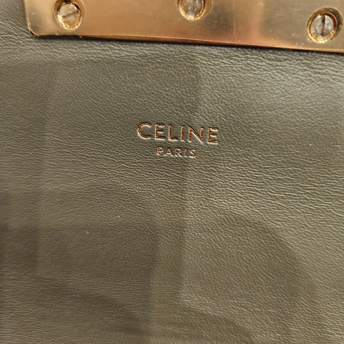 Borsa Celine Teen Triomphe in Pelle Esotica Marrone