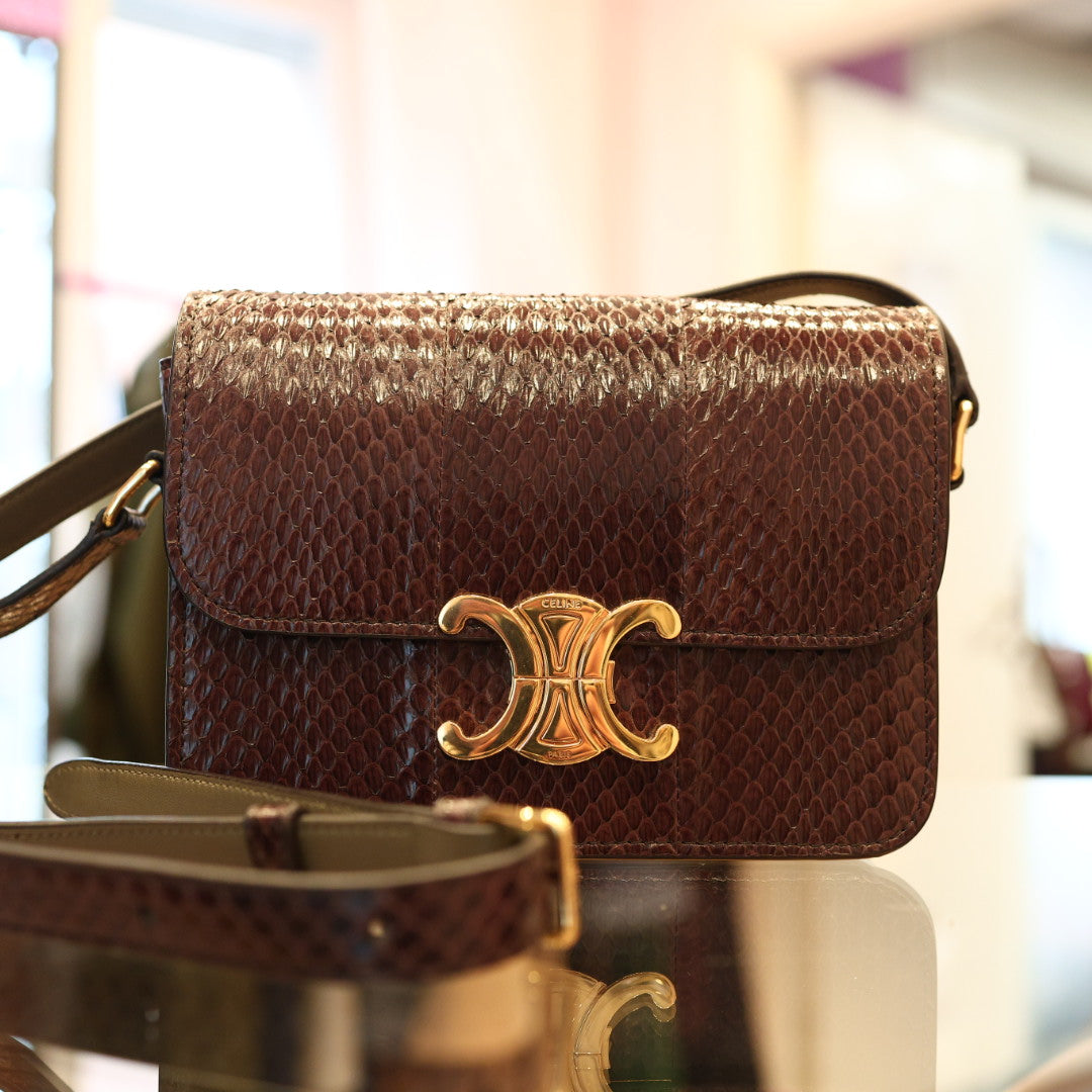 Borsa Celine Teen Triomphe in Pelle Esotica Marrone
