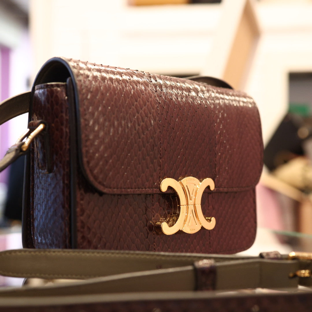 Borsa Celine Teen Triomphe in Pelle Esotica Marrone