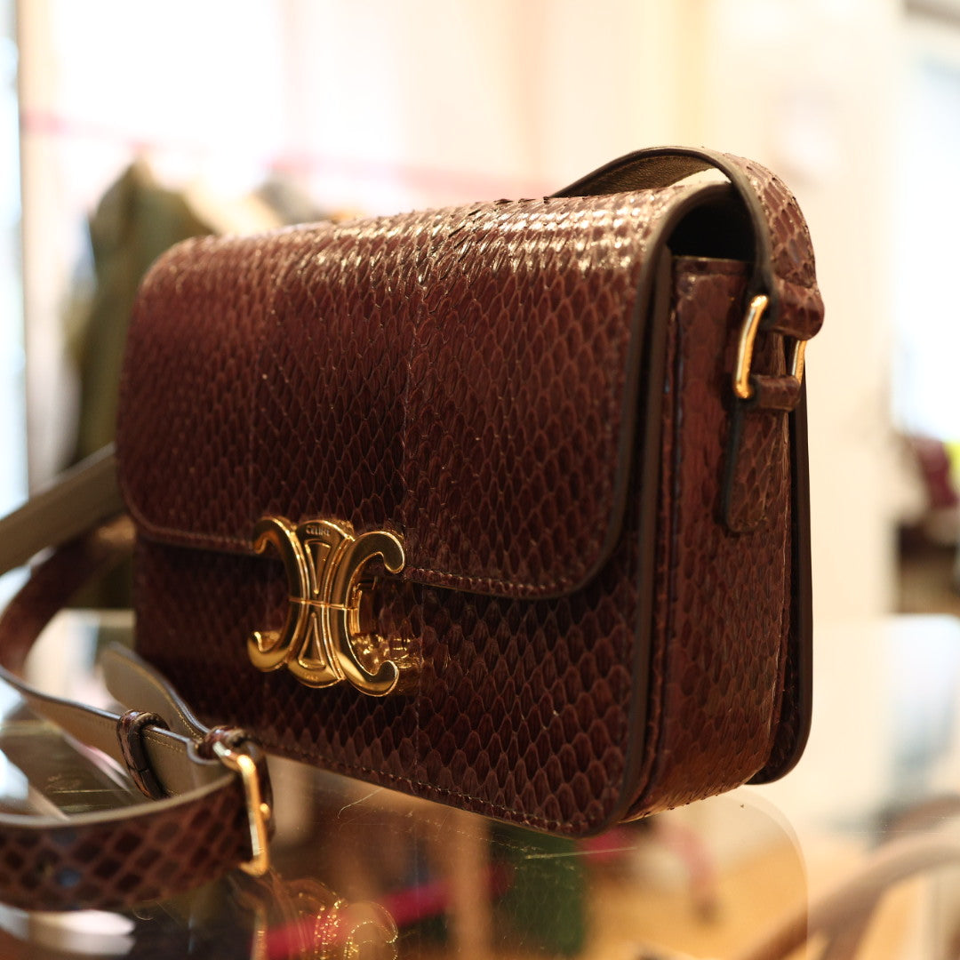 Borsa Celine Teen Triomphe in Pelle Esotica Marrone