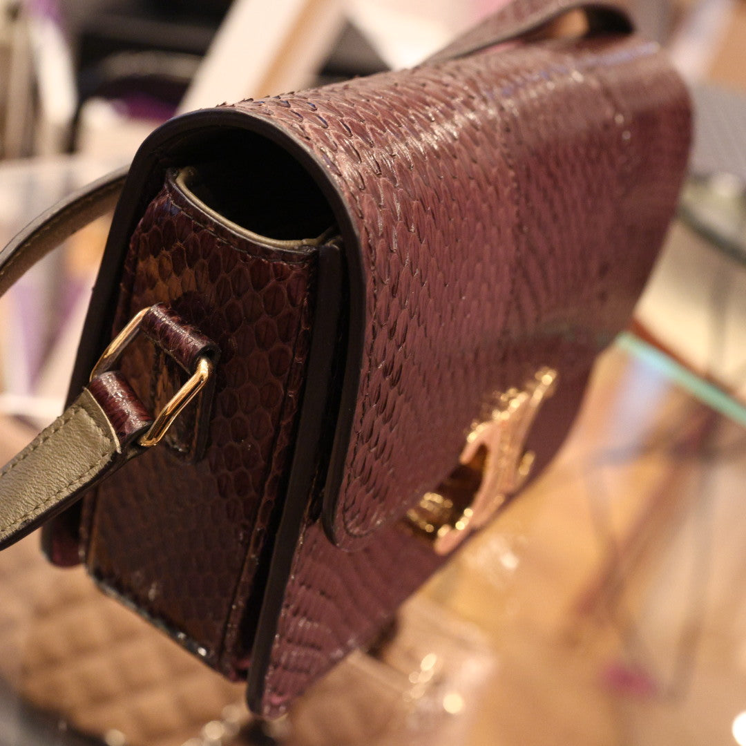 Borsa Celine Teen Triomphe in Pelle Esotica Marrone