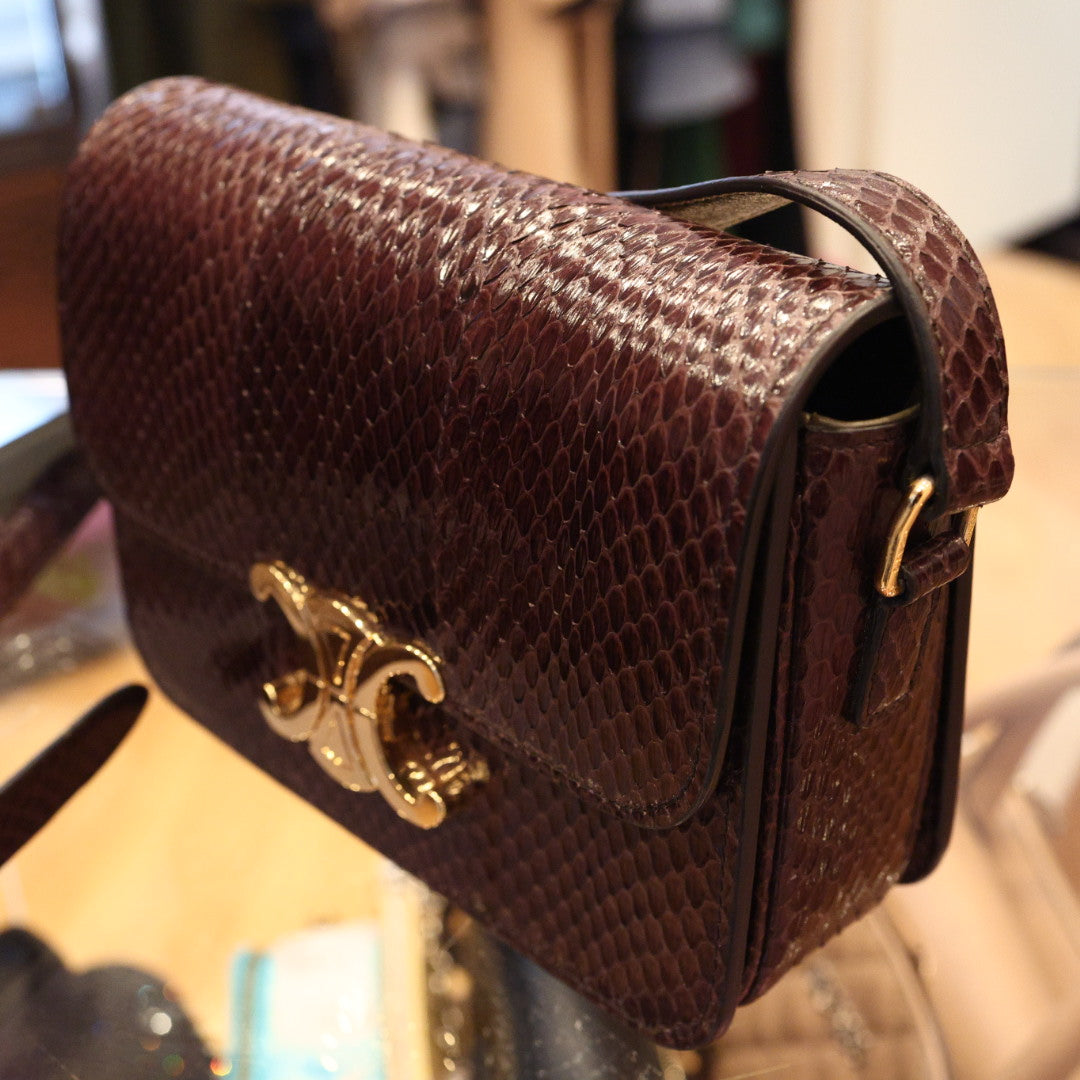 Borsa Celine Teen Triomphe in Pelle Esotica Marrone