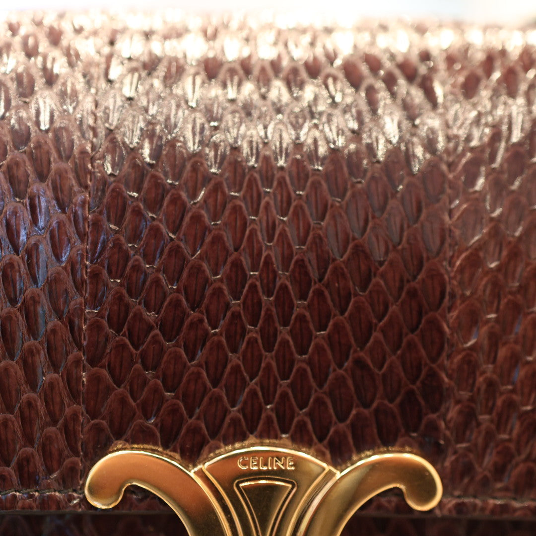 Borsa Celine Teen Triomphe in Pelle Esotica Marrone