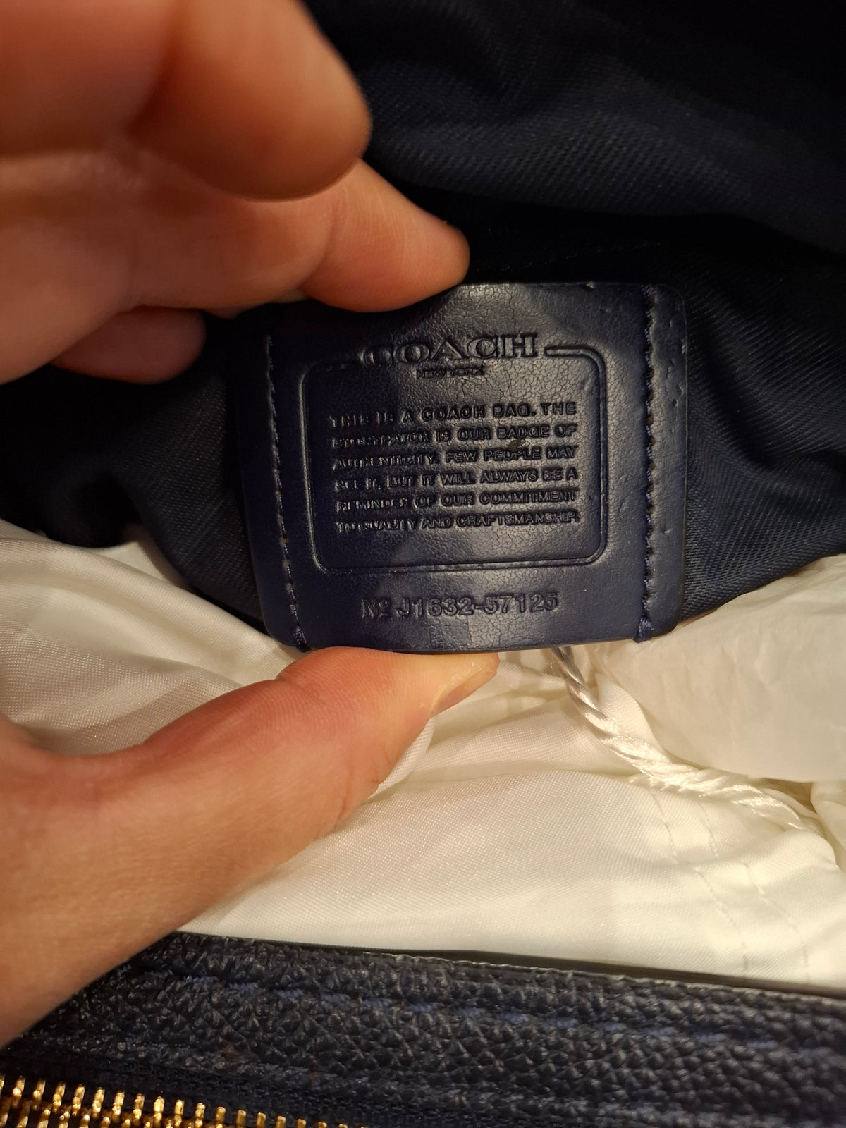Borsa coach blu