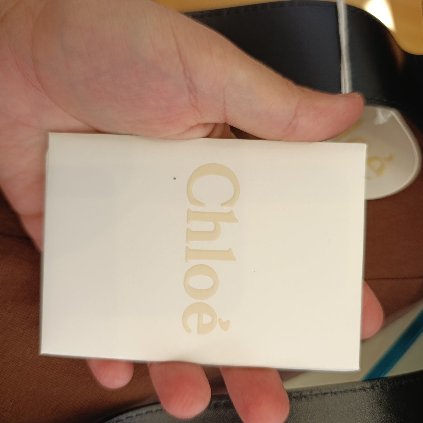 Borsa Chloè nuova pelle