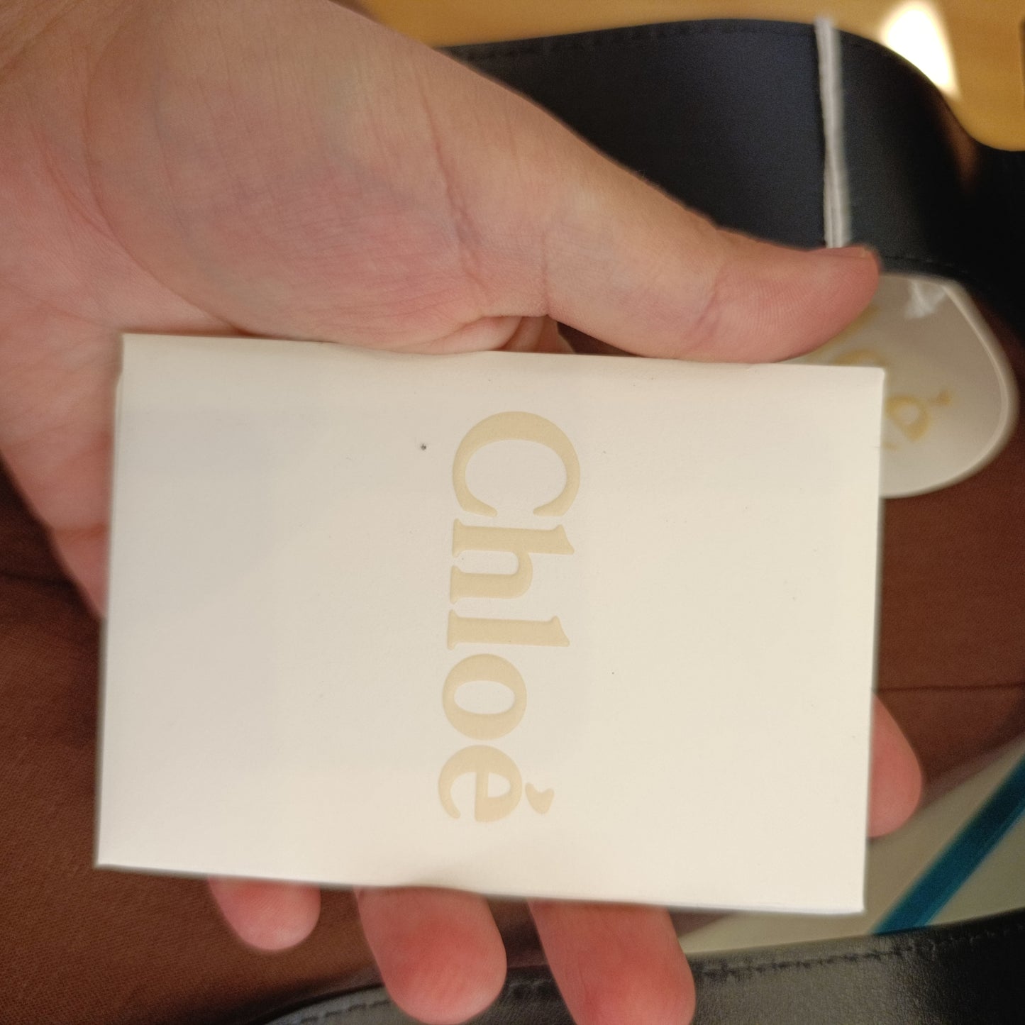 Borsa Chloè nuova pelle