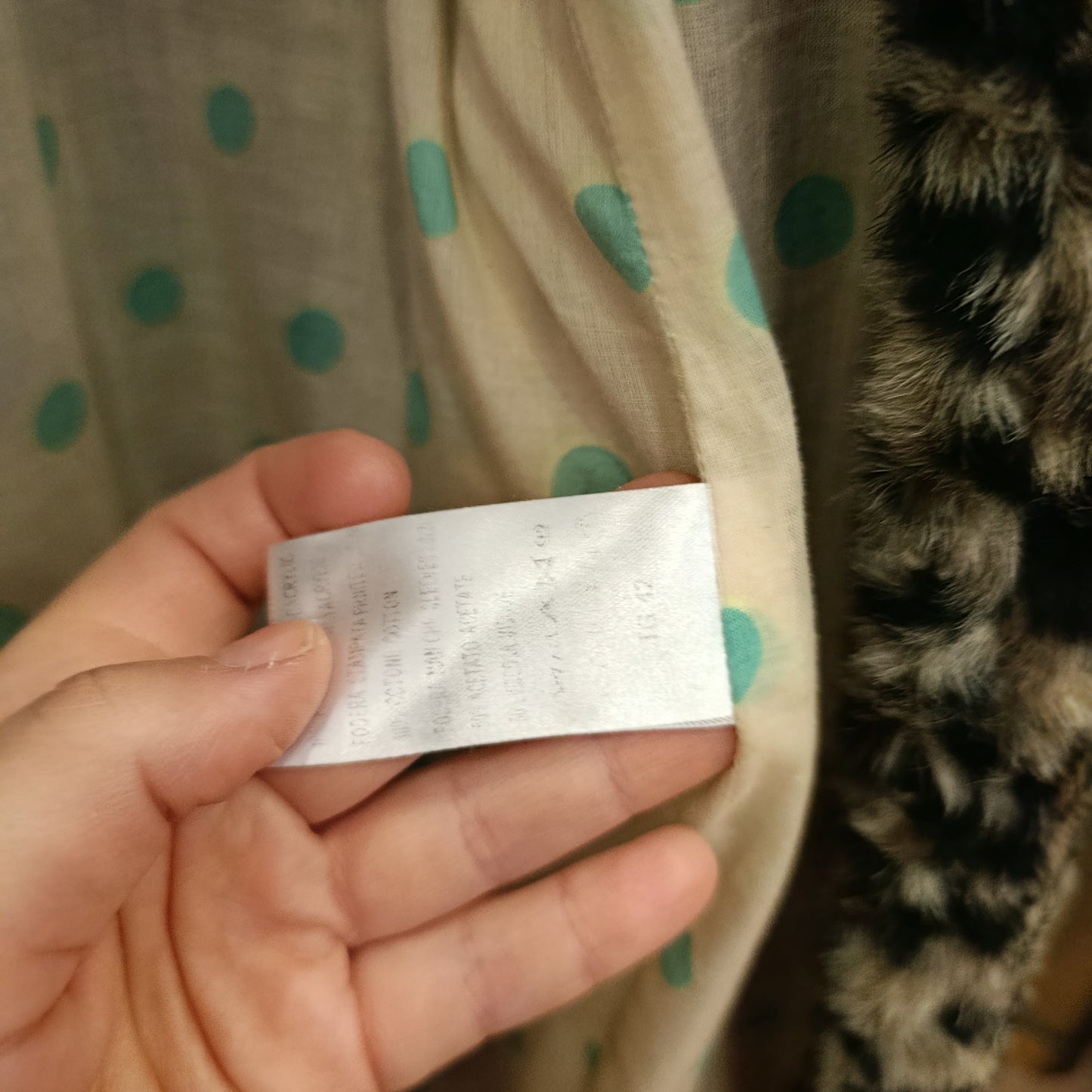 Ecopellicia maculata Manila Grace tg 42