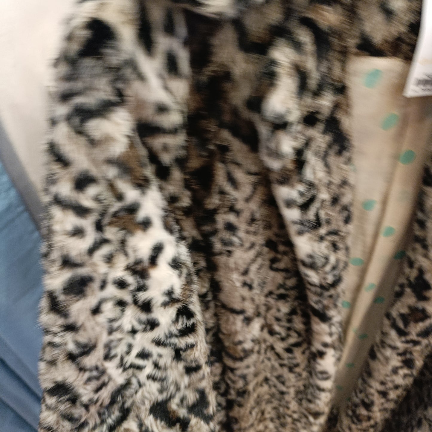 Ecopellicia maculata Manila Grace tg 42