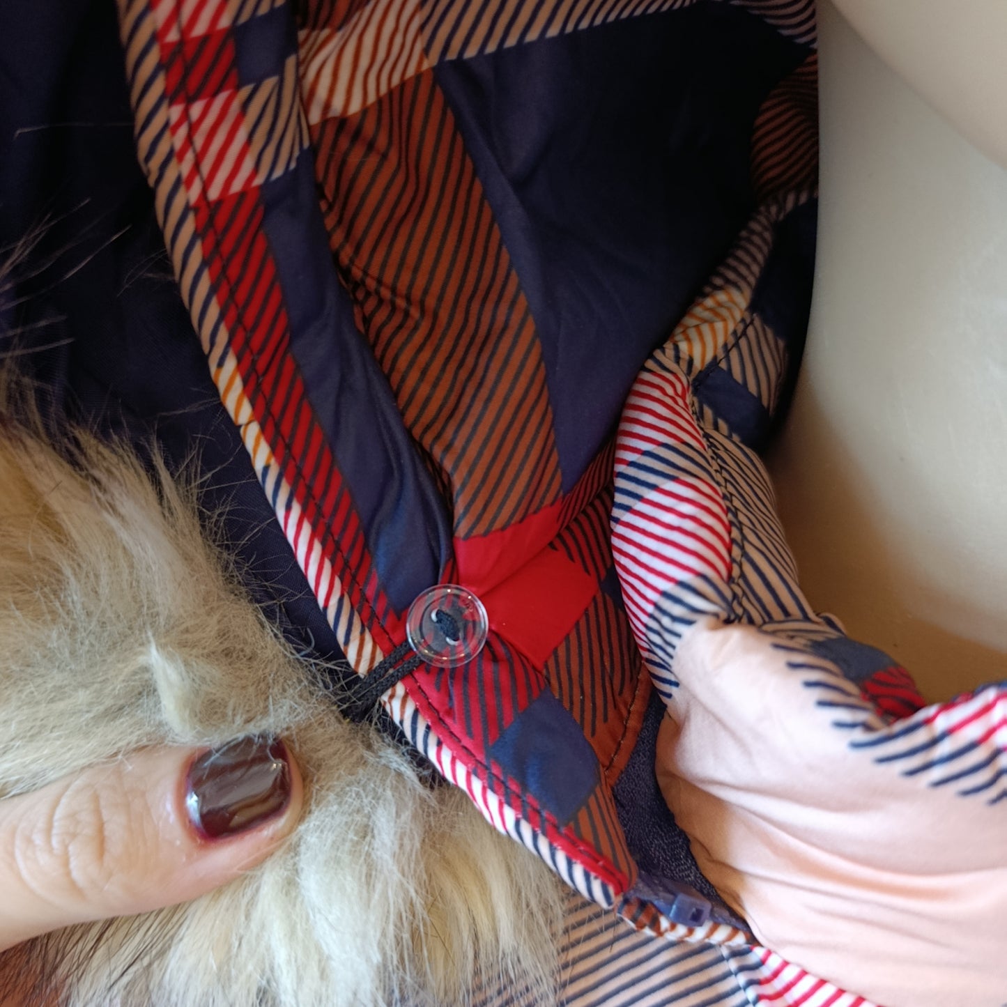 Piumino multicolor Toy G tg M