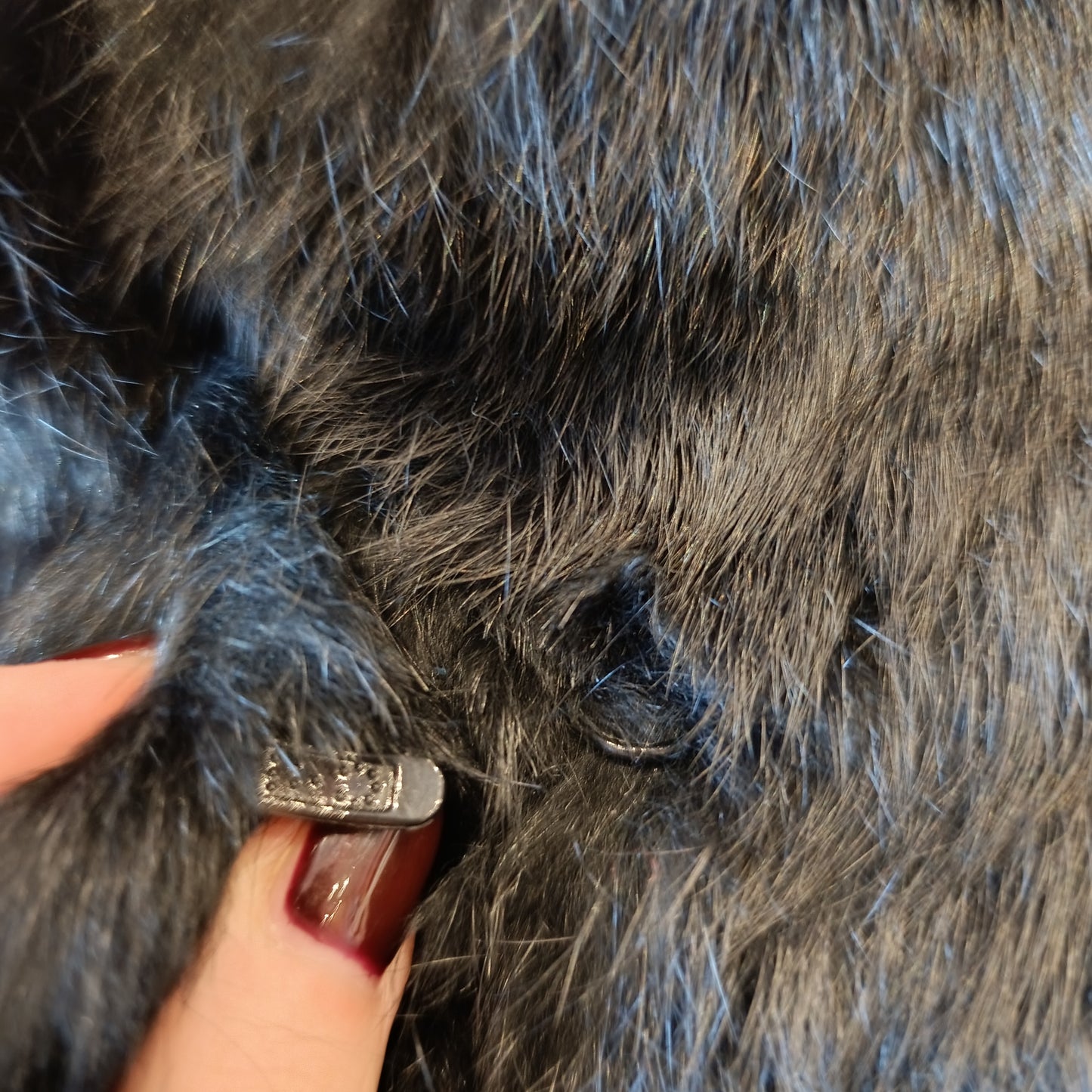 Pelliccia nera K-YEN tg S