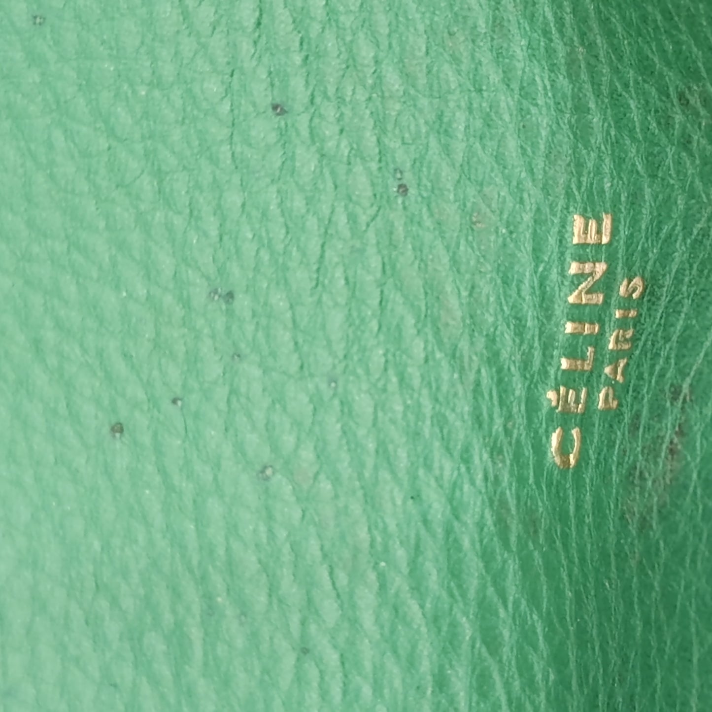 Borsa Céline Hobo Trotteur