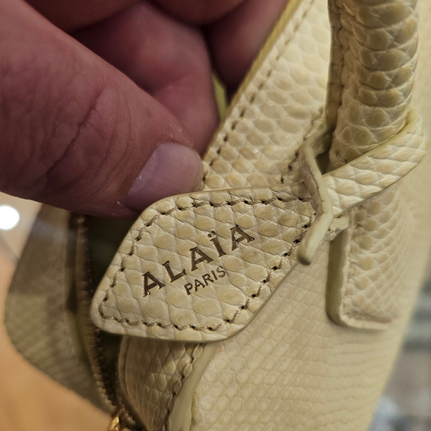 Le Teckel Alaïa