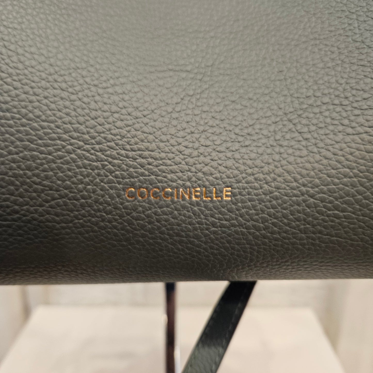 Borsa in pelle Coccinelle