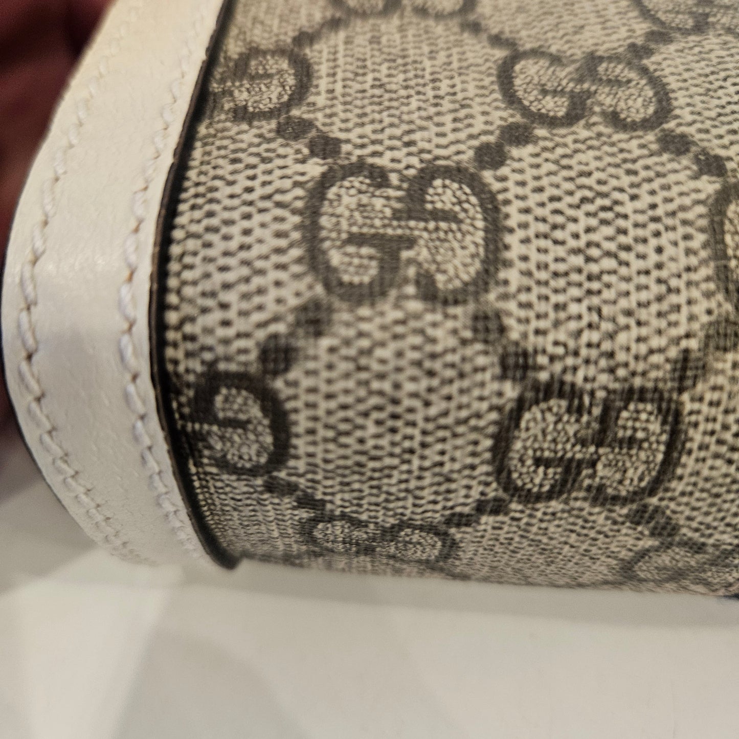 Gucci Pouch Ophidia