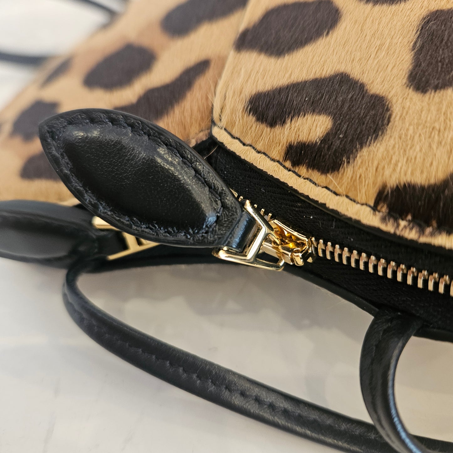 Le Coeur Alaïa in cavallino