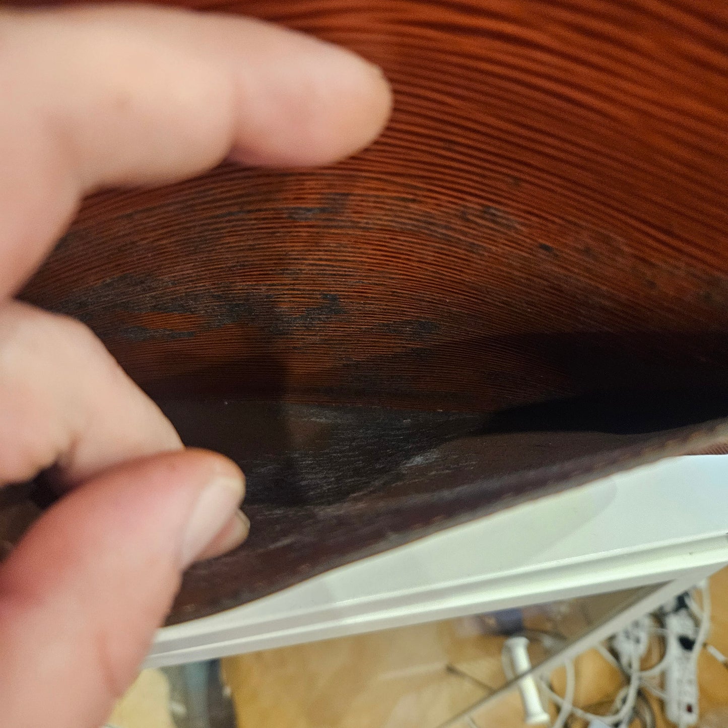 Borsa Saint Cloud Louis Vuitton