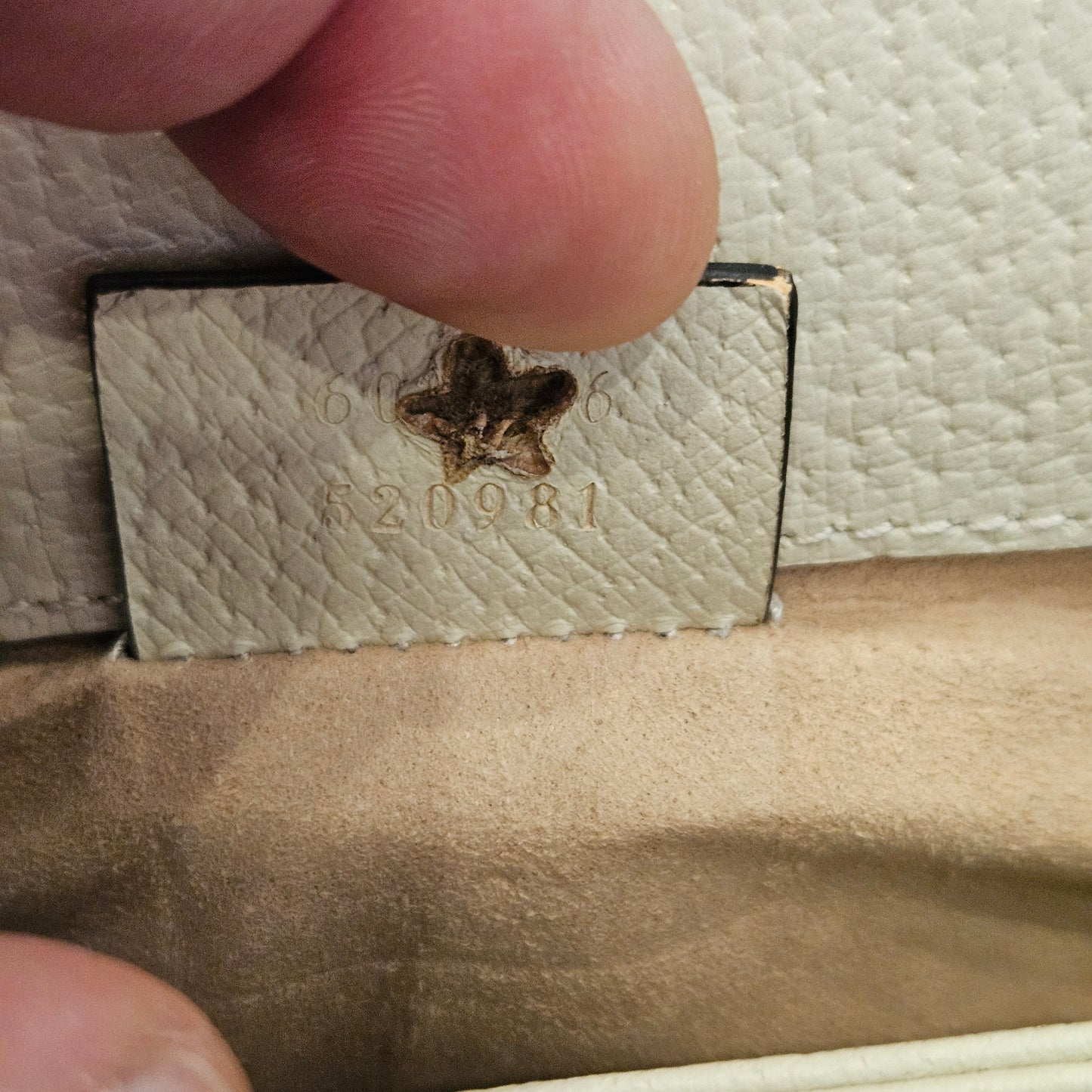 Gucci Pouch Ophidia