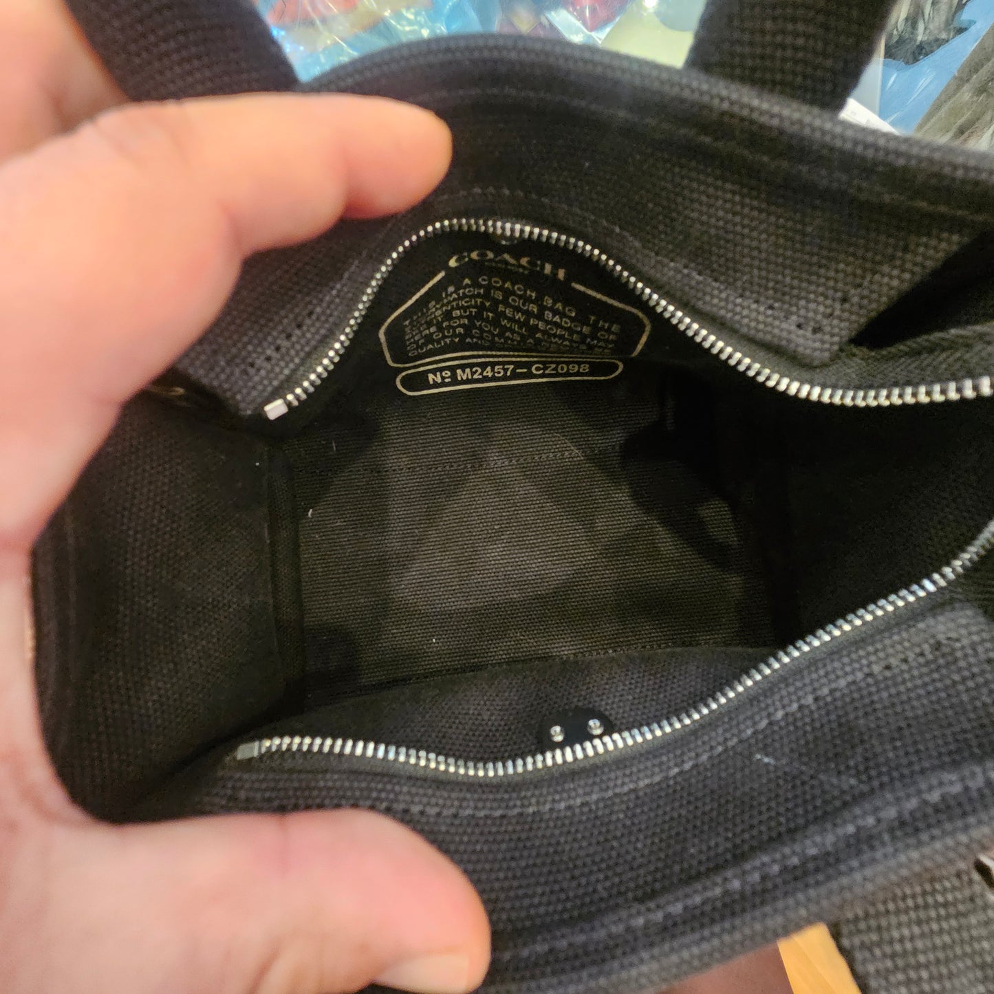 Borsa Coach