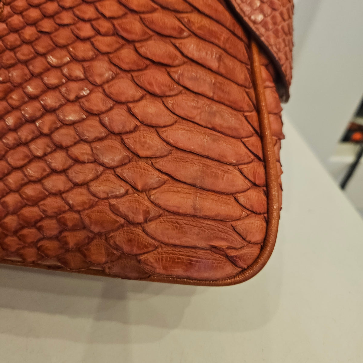 Borsetta Tod's in pitone
