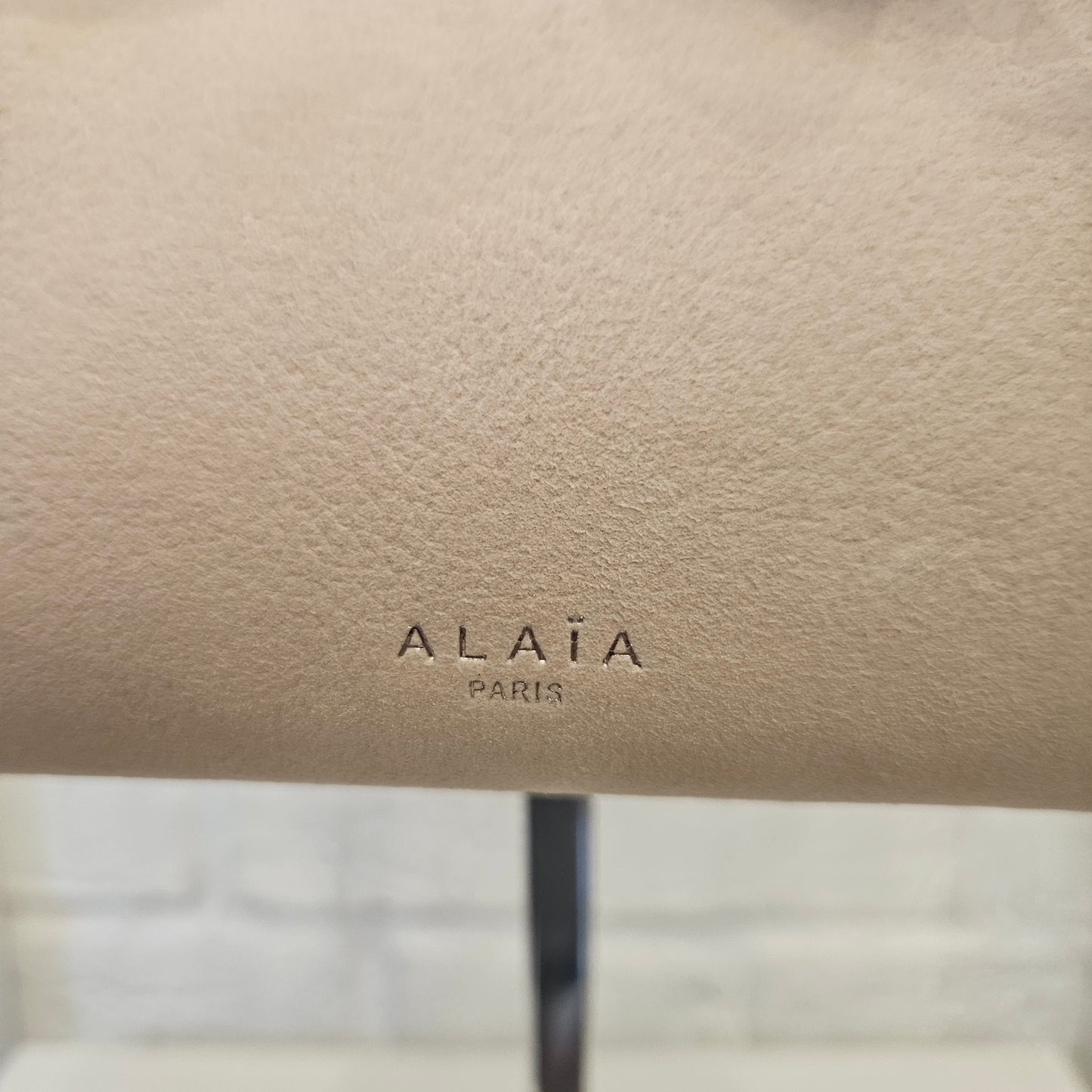 Le Teckel Alaïa (mis 27)