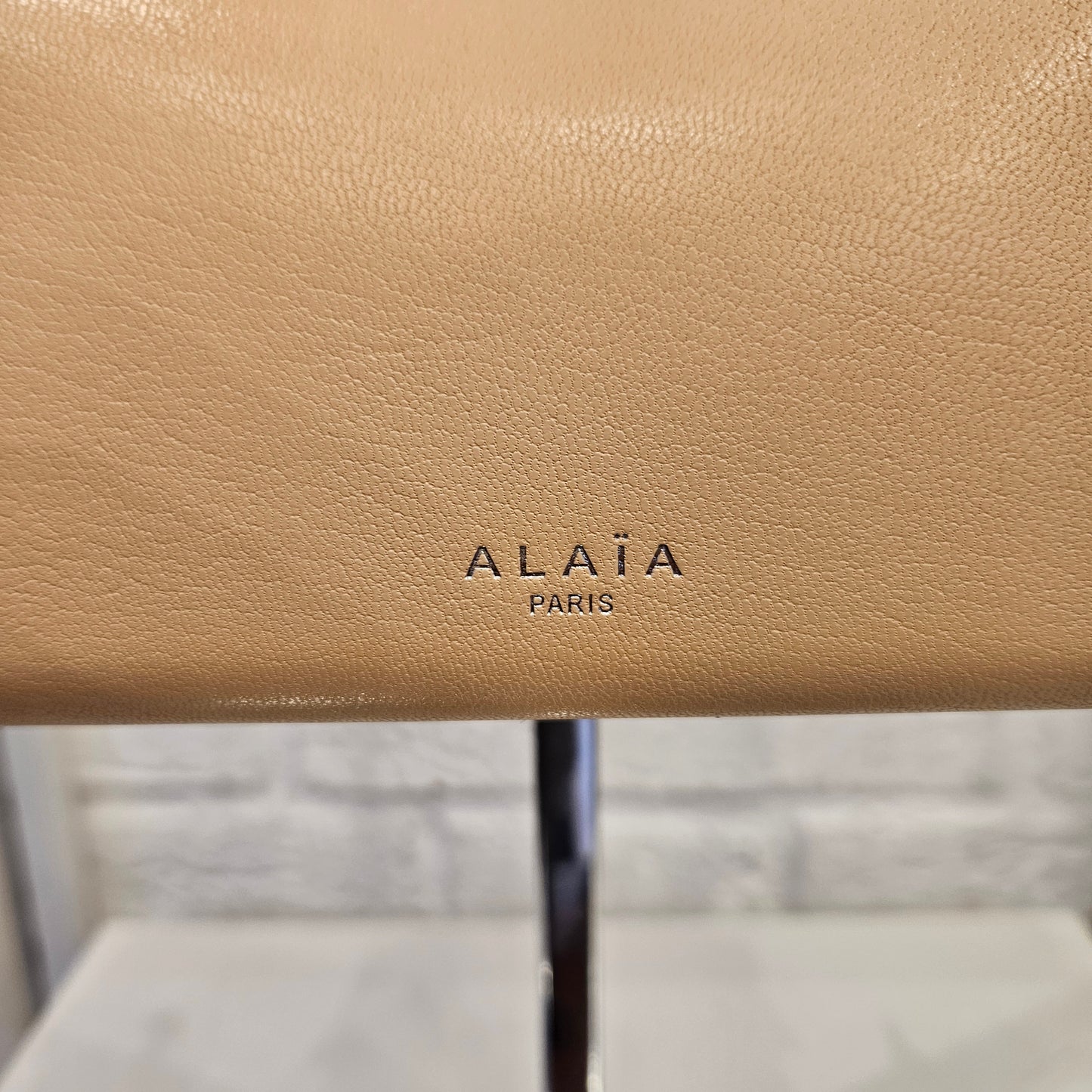 Le Teckel Alaïa