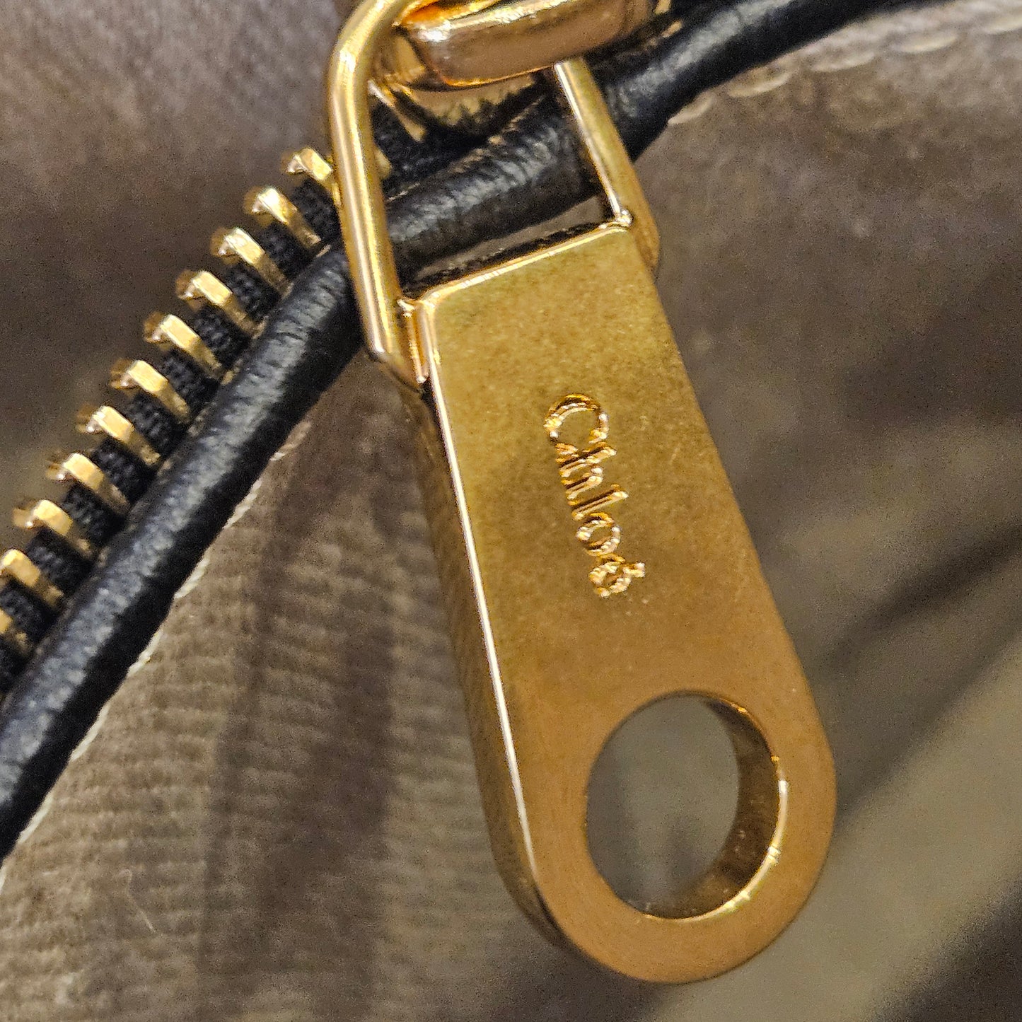 Chloé Marcie mis M