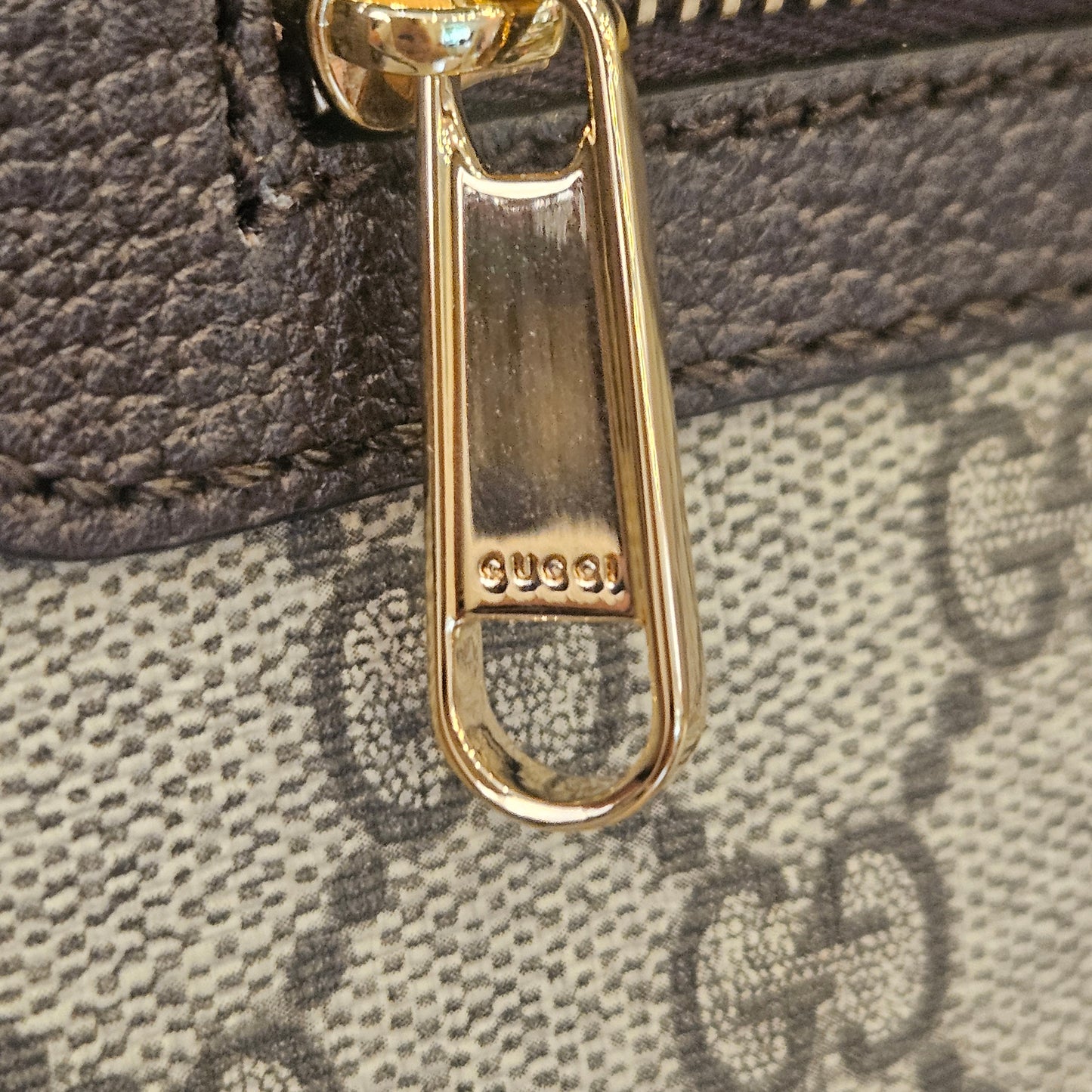 Gucci Ophidia a tracolla