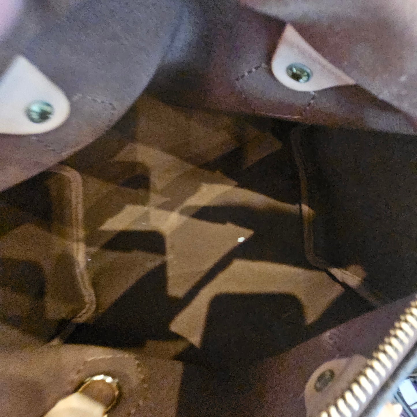 Speedy 25 Louis Vuitton (2009)
