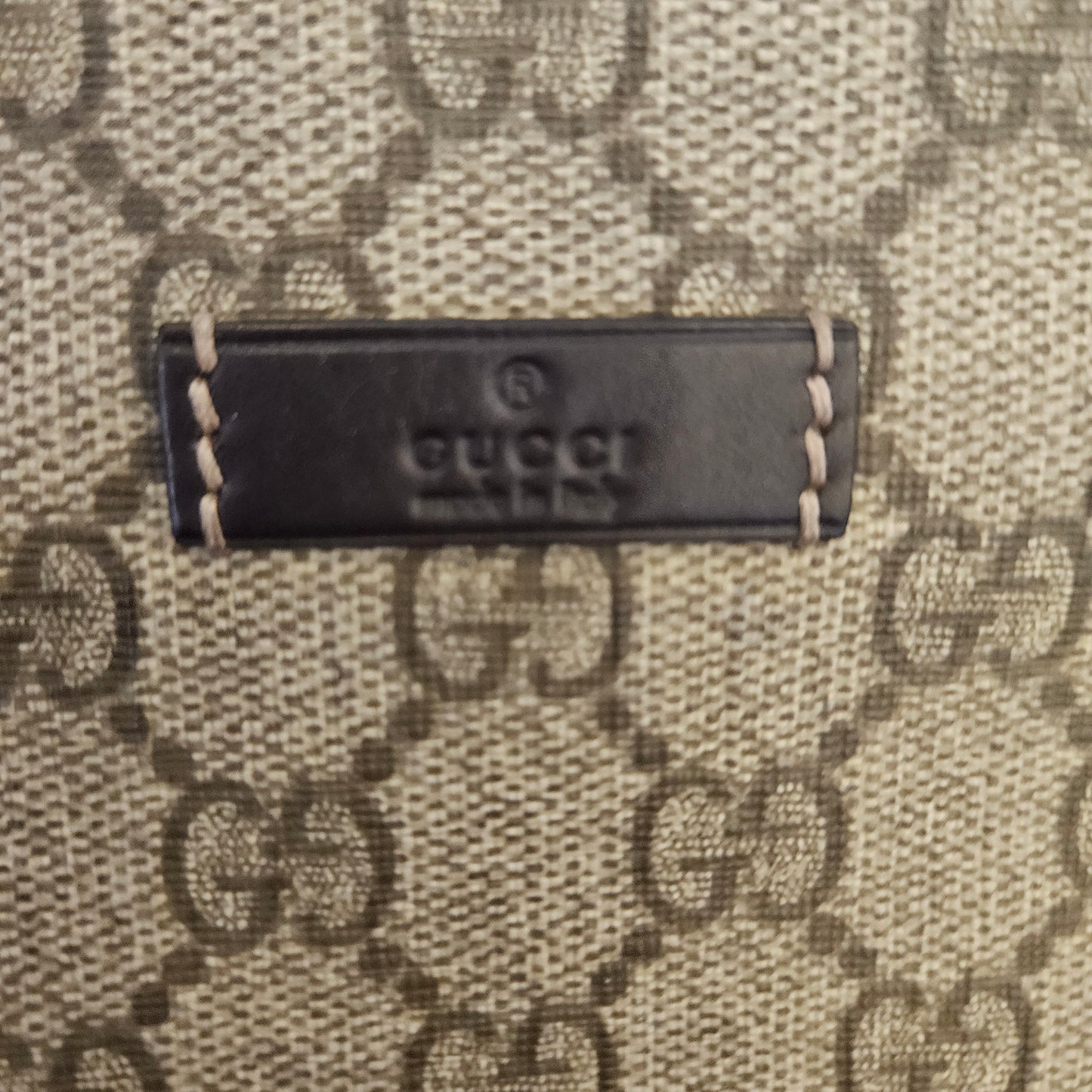 Tracollina Gucci